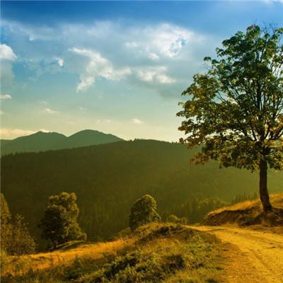 博鱼官方登录入口