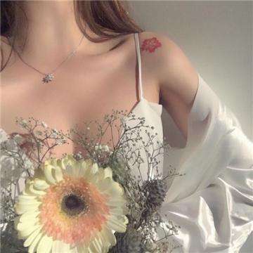 im电竞在线登录