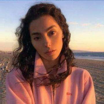 新澳门游戏网站入口app下载